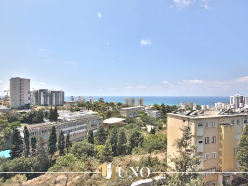 2 חיפה בר רב האי דוד 36